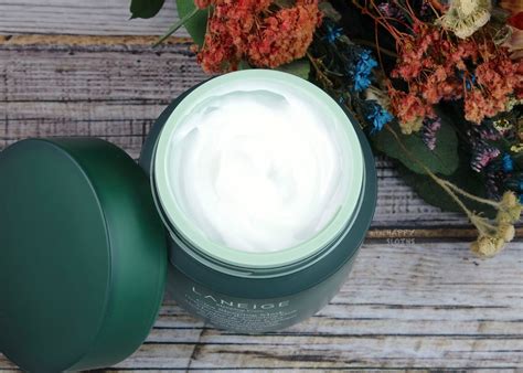 LANEIGE | Cica Sleeping Mask: Review | The Happy Sloths: Beauty, Makeup ...