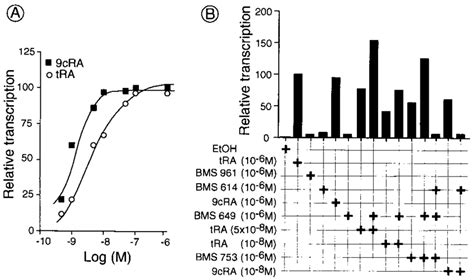 Dose Dependent Synergistic Effects Of Specific Retinoids On Activation