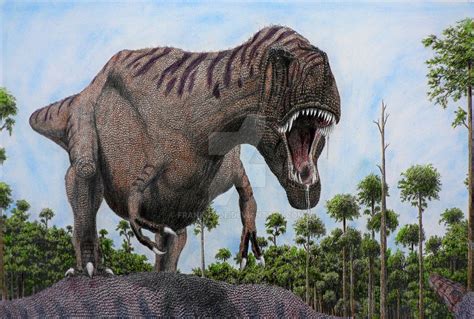 Daspletosaurus Drawing Ferocious Dinosaur Artwork