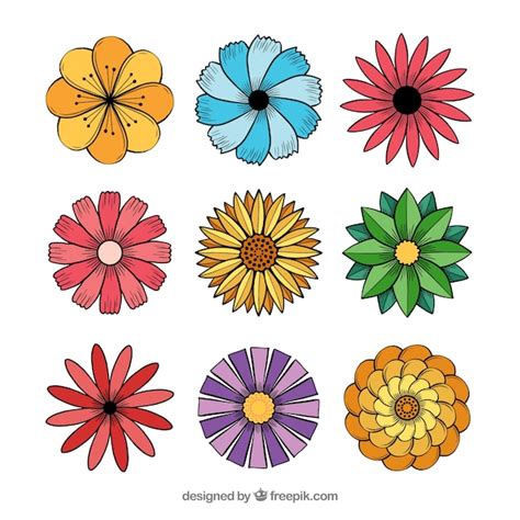 Set De Flores Dibujadas A Mano Vector Gratis