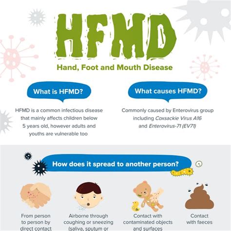 Infographic- Hand, foot, and mouth disease (HFMD) | PDF