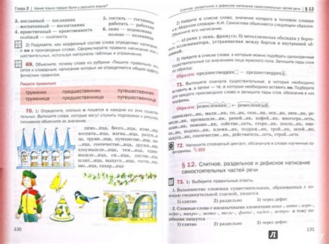 Гдз русский язык 6 класс шмелев учебник | Лучшие домашние задания РУнета