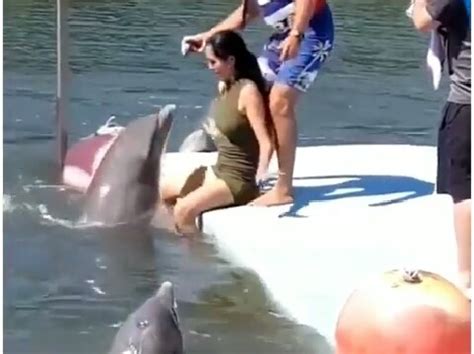 Dolphin Caught On Camera Trying To Have Sex With An Oyinbo Lady Photos Crime Nigeria