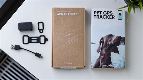 Test Du Invoxia Pet Tracker Le Gps Parfait Pour Surveiller Votre