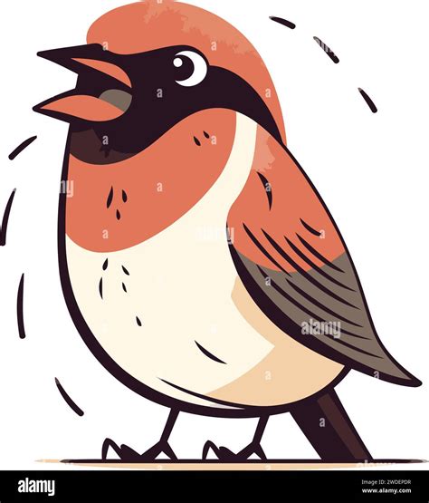 Bullfinch Bird Vector Illustration Isolated On A White Background