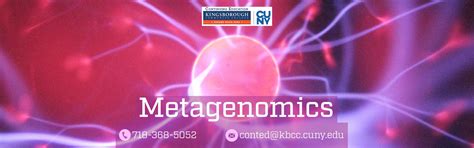 Continuing Education