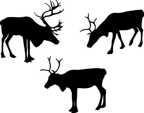 Caribou Silhouette Vector Images Over 340