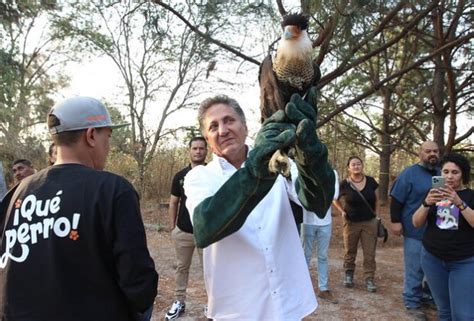 Zapopan Reinserta Fauna Silvestre En Colomos III Gobierno Municipal