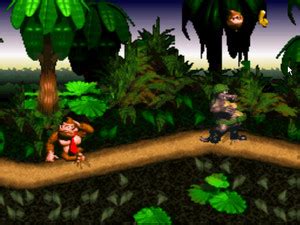 Donkey Kong Country Overview Polygon