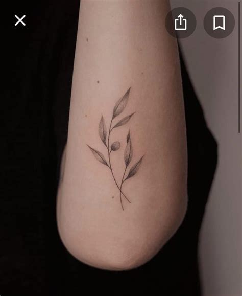 40 Best Olive Branch Tattoo Designs Ancient And Modern Meanings Artofit