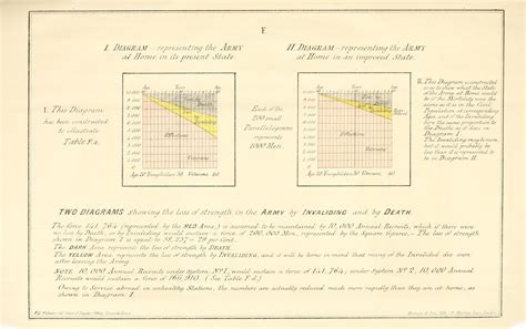 Florence Nightingale Chart