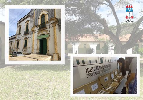 Museu de História Natural participa da Primavera dos Museus Notícias