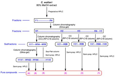 Applied Sciences Free Full Text Anti Atopic Dermatitis Activity Of