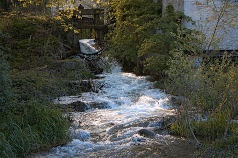 Free Images Landscape Tree Nature Creek Wilderness Lake River