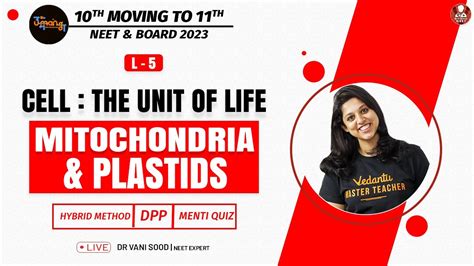 Cell The Unit Of Life L 5 Mitochondria And Plastids Class 11