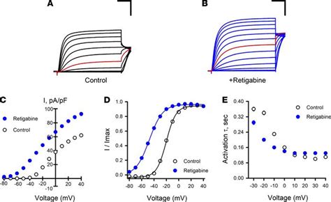 Jci Insight High Throughput Evaluation Of Epilepsy Associated Kcnq2