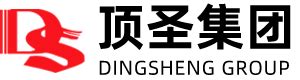 dingsheng technology shanghai