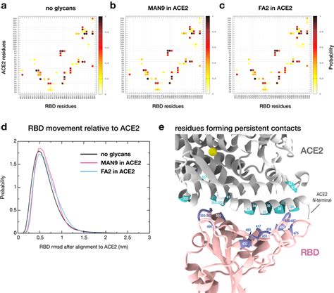 Contact Signature Of Ace2 And Rbd Is Robust To The Presence And Types