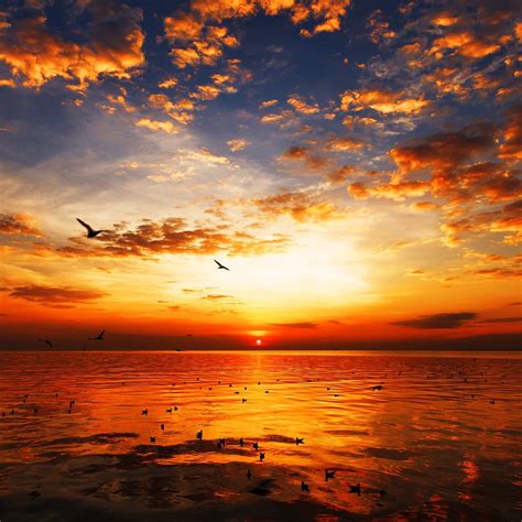 21 Pictures of Sunsets that Will Give You Goosebumps | Sunset pictures ...