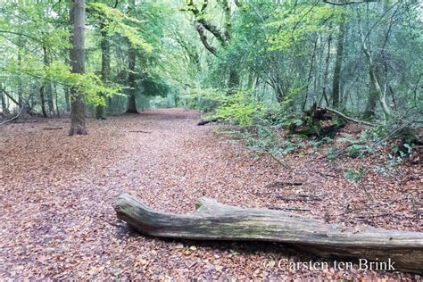 Haslemere Fernhurst Circular Walk A Weekend Walk The Has Flickr