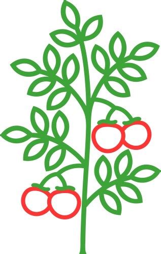 Tomato Outline Vector Images (over 21,000)