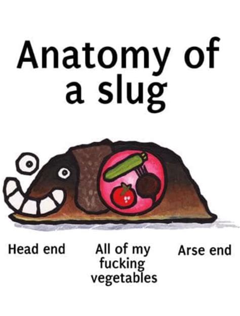 Anatomy of a Slug. : r/gardening