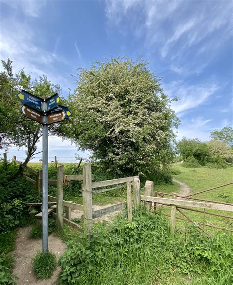 Walking The Hillingdon Trail — Richard Gower