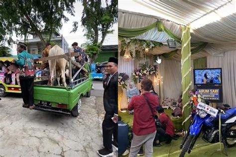 Viral Pengantin Pria Bawa Seserahan Sapi Sampai Mobil Pajero Warganet