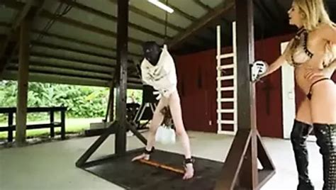 Balls Punished Femdom Femdom Porn Xhamster