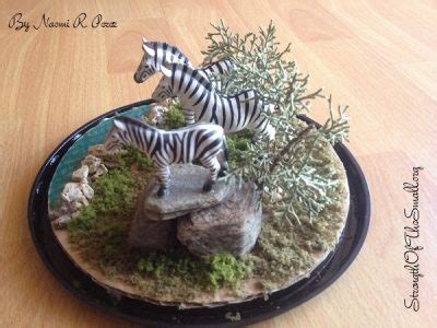 DIY: Zebra Habitat – Strength Of The Small