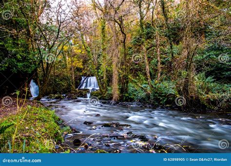 Edenvale Waterfall Stock Image Image Of Leaf Plant 62898905