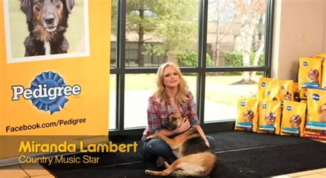 Miranda Lambert Partners With Pedigree Video