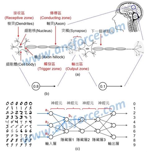 翻轉人類未來的 Ai 科技：機器學習與深度學習 About 247