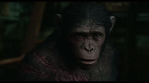 Lakerelationships Planet Of The Apes Wiki Fandom Powered By Wikia