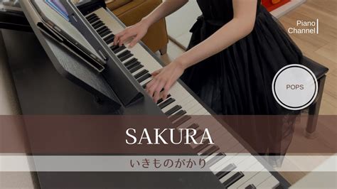 Sakura いきものがかり Ikimono Gakari Piano Youtube