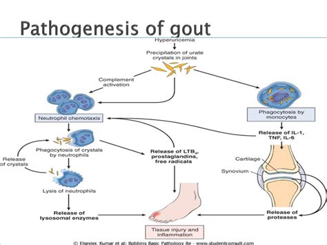 Ppt Joint Pathology Powerpoint Presentation Free Download Id 3999897