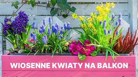 Wiosenne Kwiaty Na Balkon Video Dailymotion