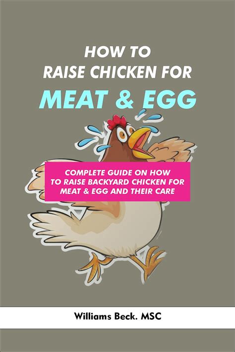 How To Raise Chicken For Eggs And Meat Beginners Guide For Raising