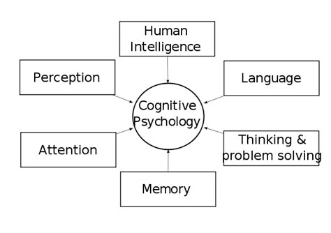 Cognitive Psychology: What Is Cognitive Psychology?