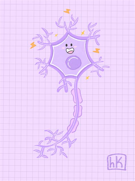 Brain Art Drawing How To Drow Brain Neurons Medicine Studies