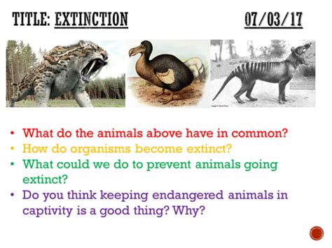 Extinction Complete Lesson Ks3 Teaching Resources