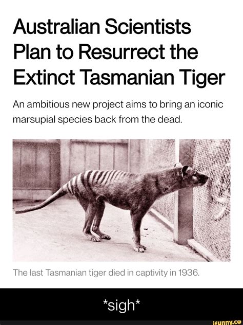 Australian Scientists Plan To Resurrect The Extinct Tasmanian Tiger An