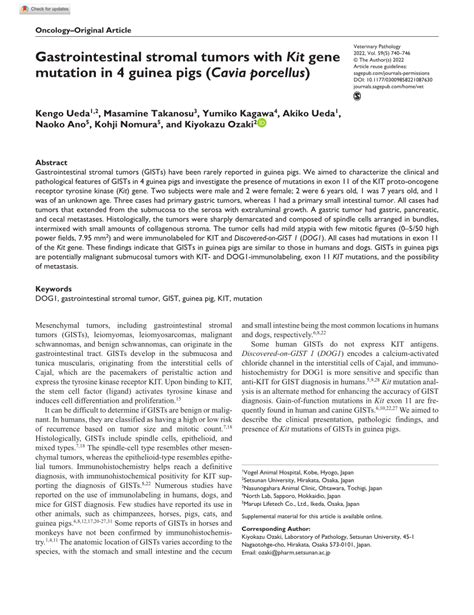 (PDF) Gastrointestinal stromal tumors with Kit gene mutation in 4 ...