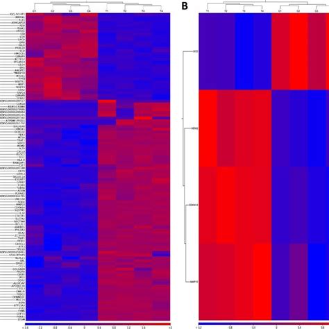 Heatmaps Of Differentially Expressed Genes DEGs Identified In A