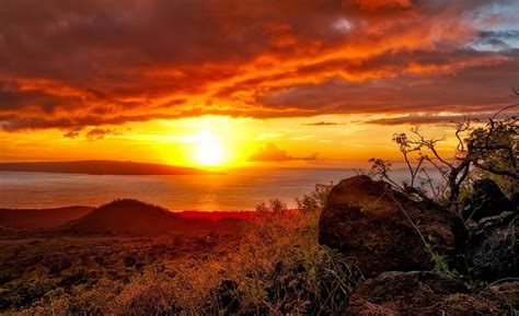 🔥 [40+] Island Sunset Wallpapers | WallpaperSafari