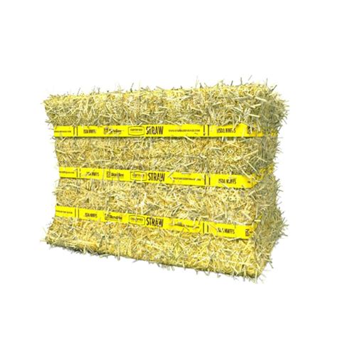 Standlee Premium Western Forage Certified Straw Compressed Bale