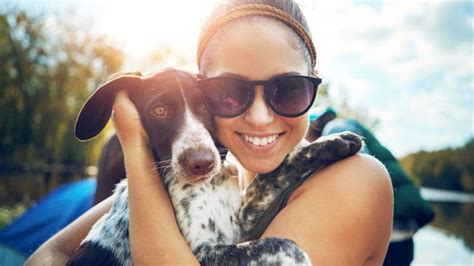 Viajar Con PERRO Descubre Sus VENTAJAS