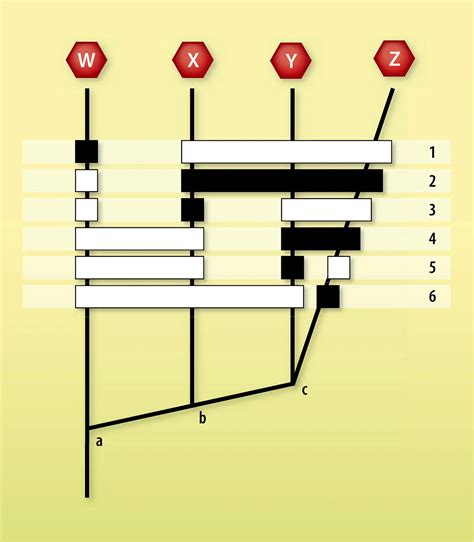 Cladistique Les Fondements Du Cladogramme De Willi Hennig Média