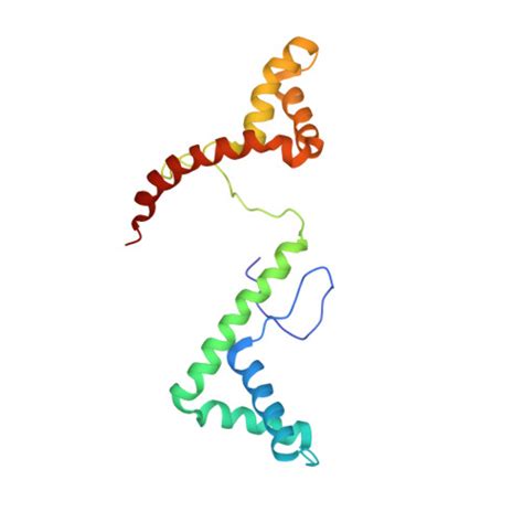 RCSB PDB 2YRQ Solution Structure Of The Tandem HMG Box Domain From