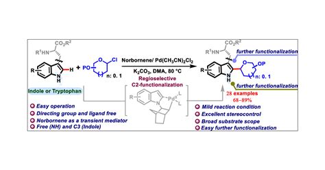 Palladium Catalyzed Direct Ch Glycosylation Of Free N H Indole And